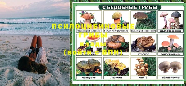 гашик Наволоки