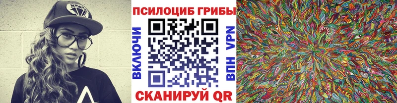 Галлюциногенные грибы ЛСД  купить   Болотное 